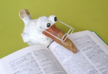 Ile za przetłumaczenie dokumentu? Ile za przetłumaczenie dokumentu?