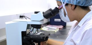 Co to są testy beta?