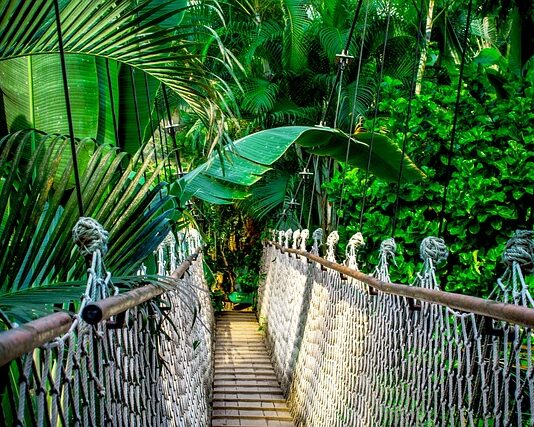 Jakie kursy kosmetyczne warto zrobić? Jakie kursy kosmetyczne warto zrobić?