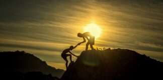 Jak obliczyć wzrost sprzedaży?