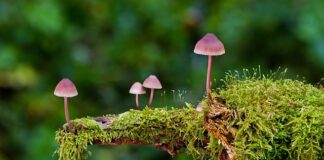 Jakie są rodzaje ćwiczeń?