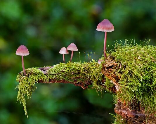 Jakie są rodzaje ćwiczeń? Jakie są rodzaje ćwiczeń?