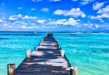 Ile wynoszą wczasy pod gruszą w 2023 roku?