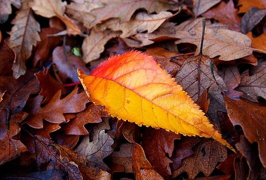 Jak radzić sobie z nerwowością?