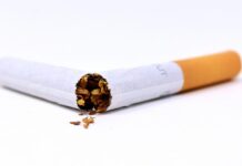 Jakie są szkodliwe czynniki biologiczne?