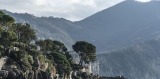 Ile kosztuje dzień pracy tłumacza?