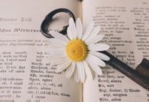 Ile wziąć za tłumaczenie? Ile wziąć za tłumaczenie?